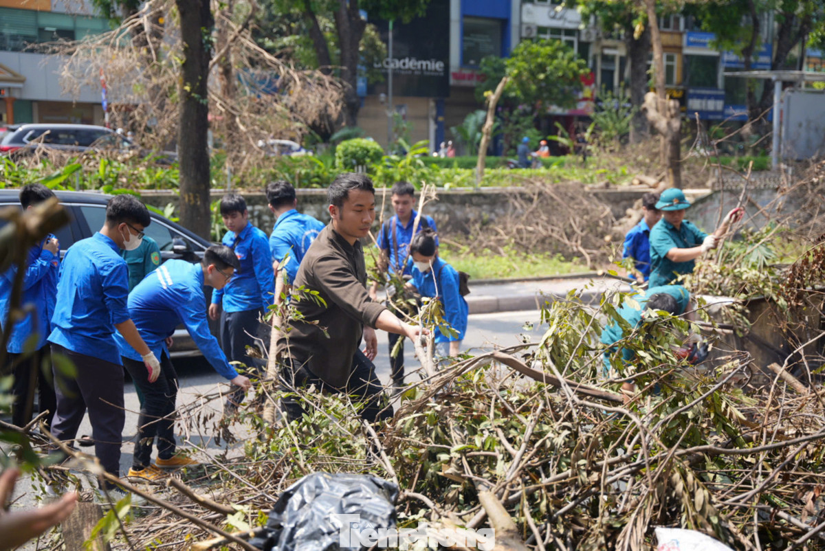 Hưởng ứng lễ phát động, người dân Hà Nội cùng các đoàn viên, lực lượng chức năng... đã chung tay, góp sức tích cực dọn dẹp cây xanh bị đổ ngã sau cơn bão.