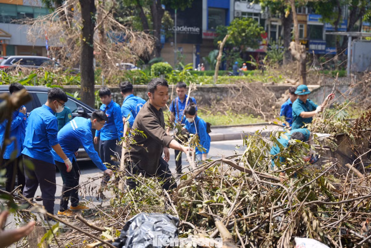 Hưởng ứng lễ phát động, người dân Hà Nội cùng các đoàn viên, lực lượng chức năng... đã chung tay, góp sức tích cực dọn dẹp cây xanh bị đổ ngã sau cơn bão.