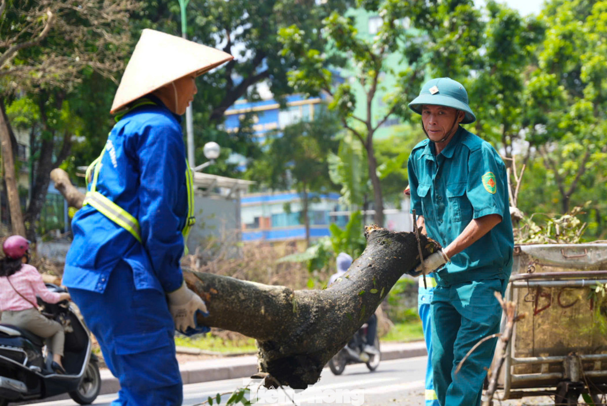 Dân quân tự vệ và công nhân vệ sinh cùng nhau chung tay, góp sức khẩn trương dọn dẹp những cây xanh bị đổ.
