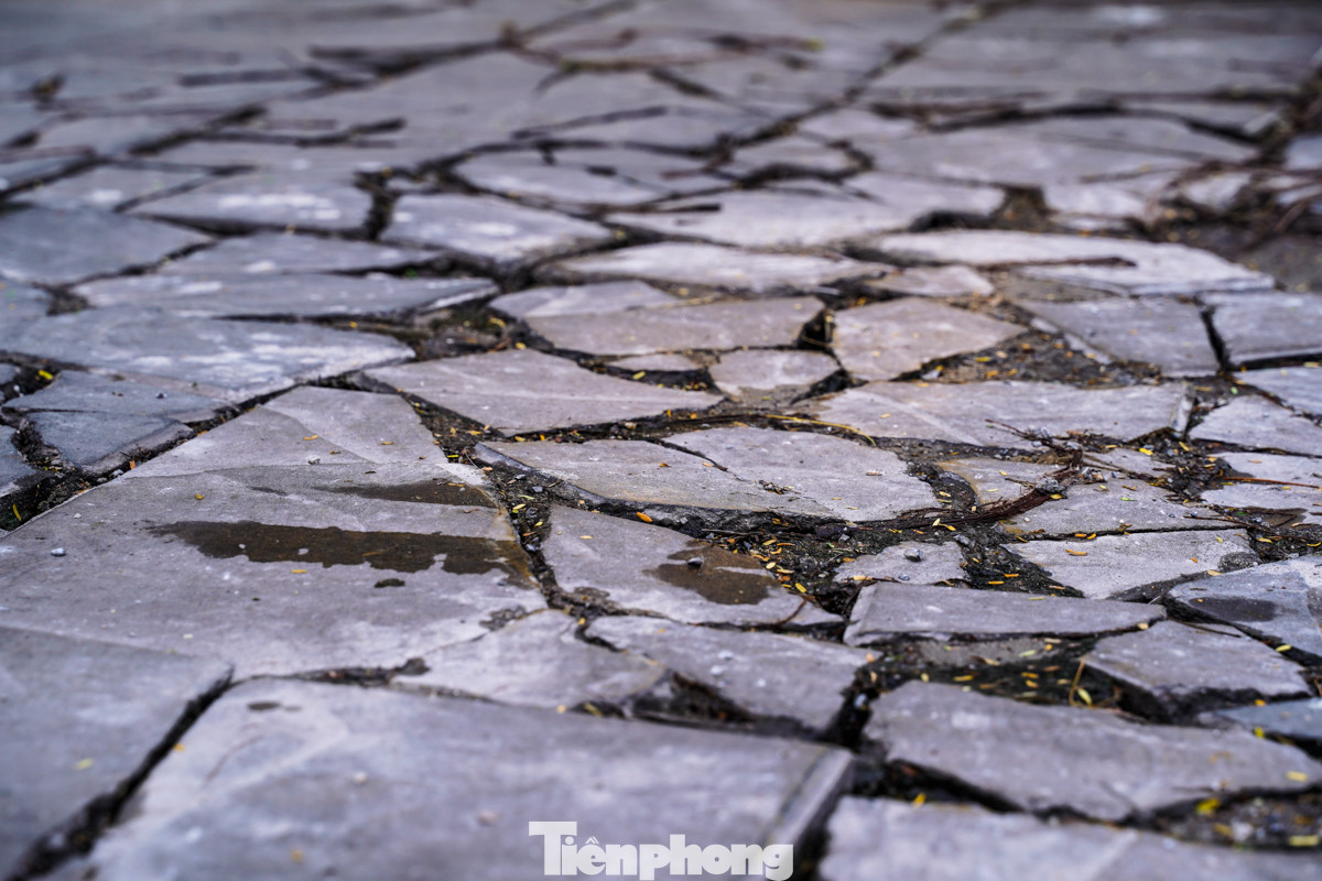 Hiện trạng vỉa hè trên đường Trần Duy Hưng.