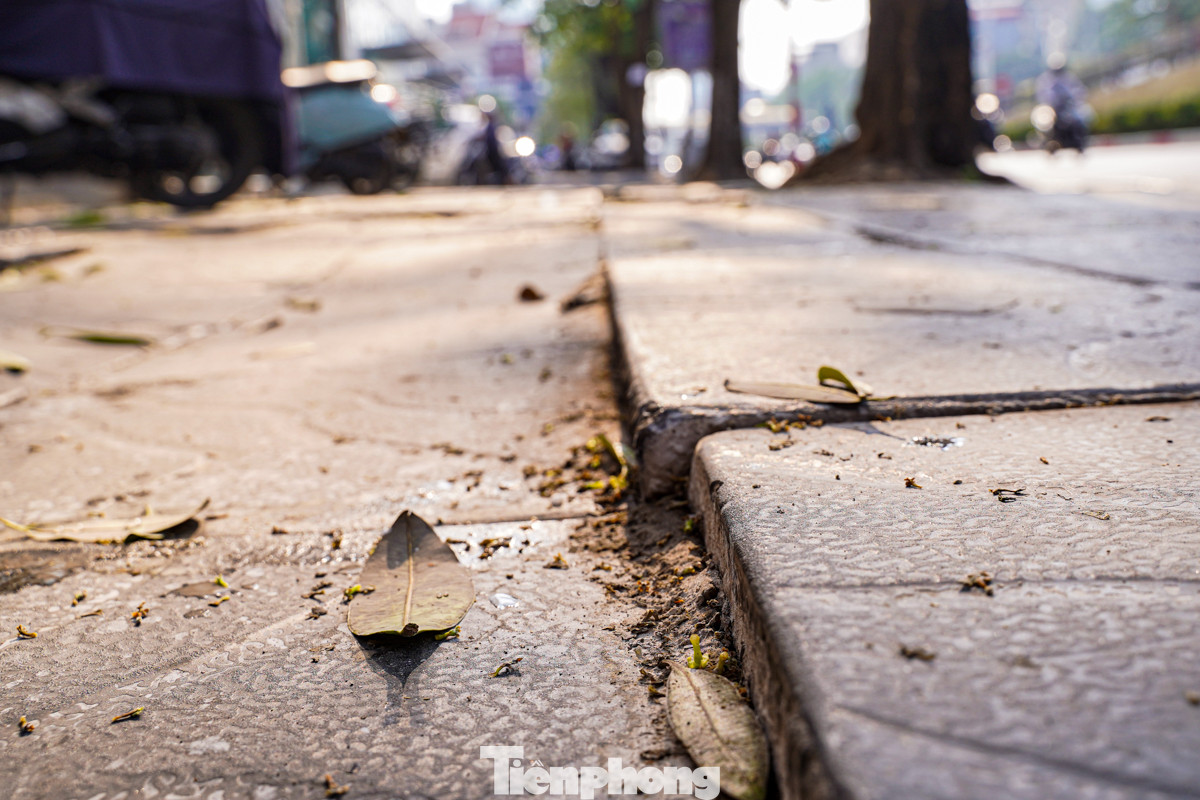 Thậm chí, nhiều đoạn còn bị sụt lún, các viên đá chênh lệch nhau, tạo bề mặt gồ ghề.