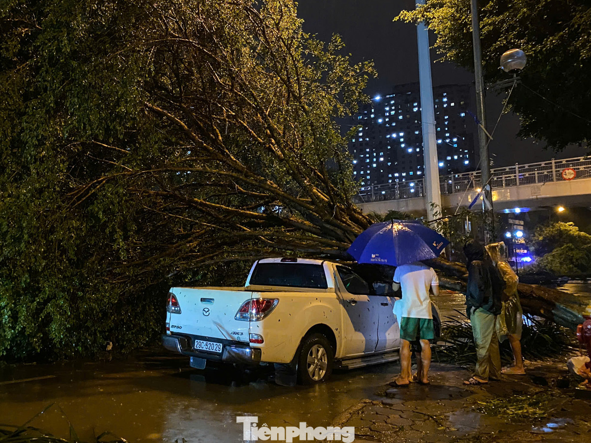 Một chiếc ôtô đang đậu trên phố Phúc La (quận Hà Đông) đã không may bị cây xanh đổ trúng trong cơn bão.