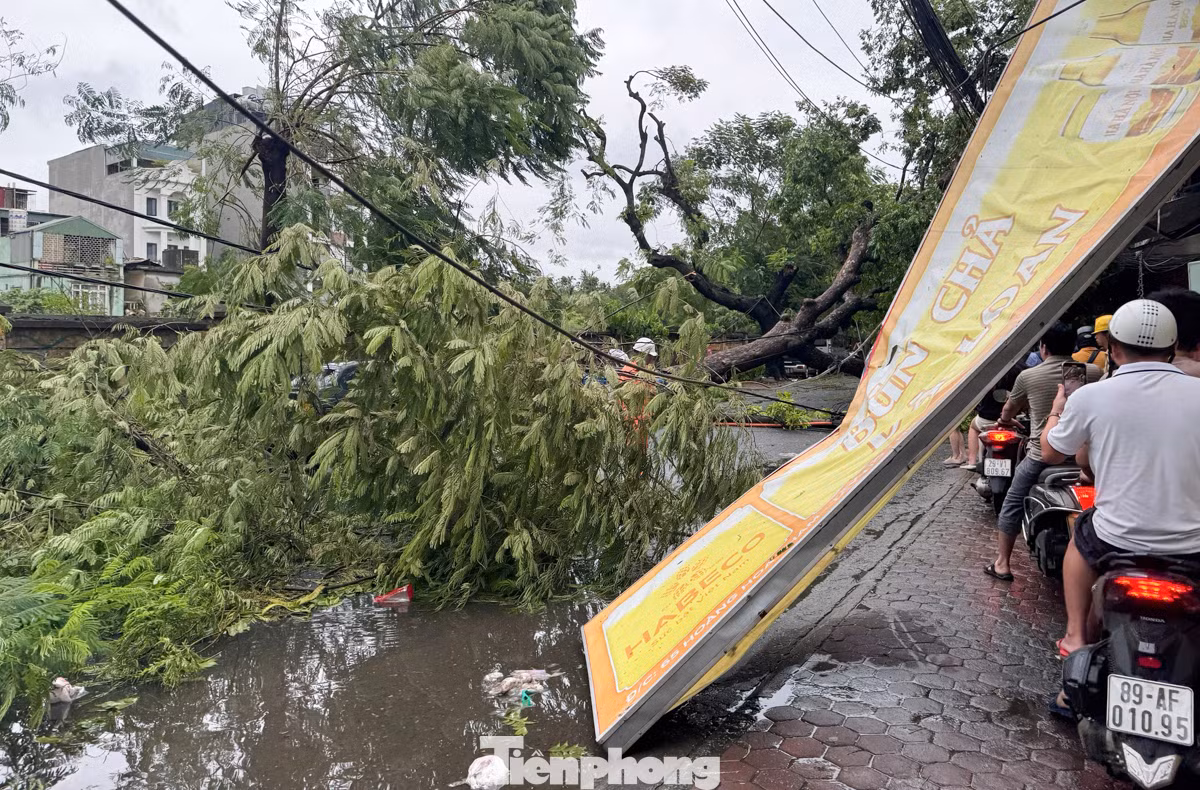 Trên đường Hoàng Hoa Thám, cây cối đổ la liệt chắn ngang đường, cùng với việc các bảng hiệu bị gió giật đổ khiến giao thông gặp nhiều khó khăn.