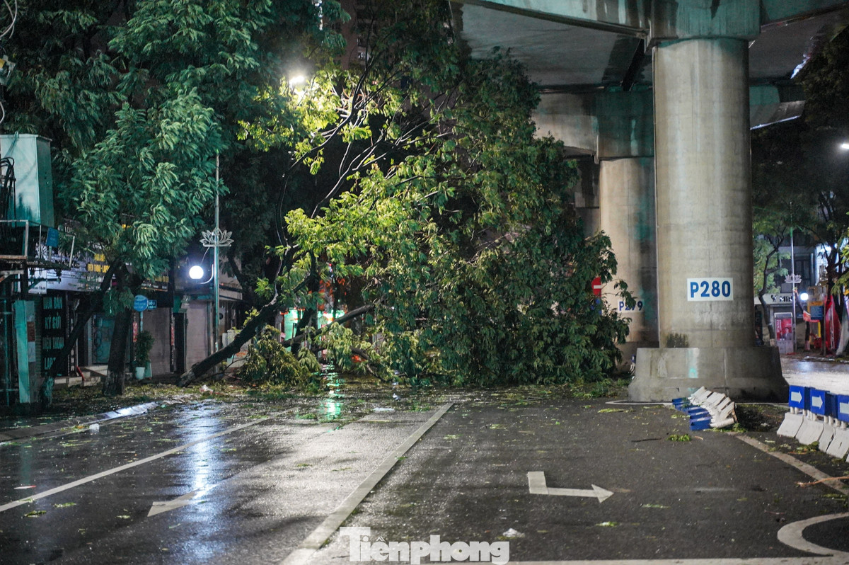 Cây xanh che hết lối đi trên đường Cầu Giấy.