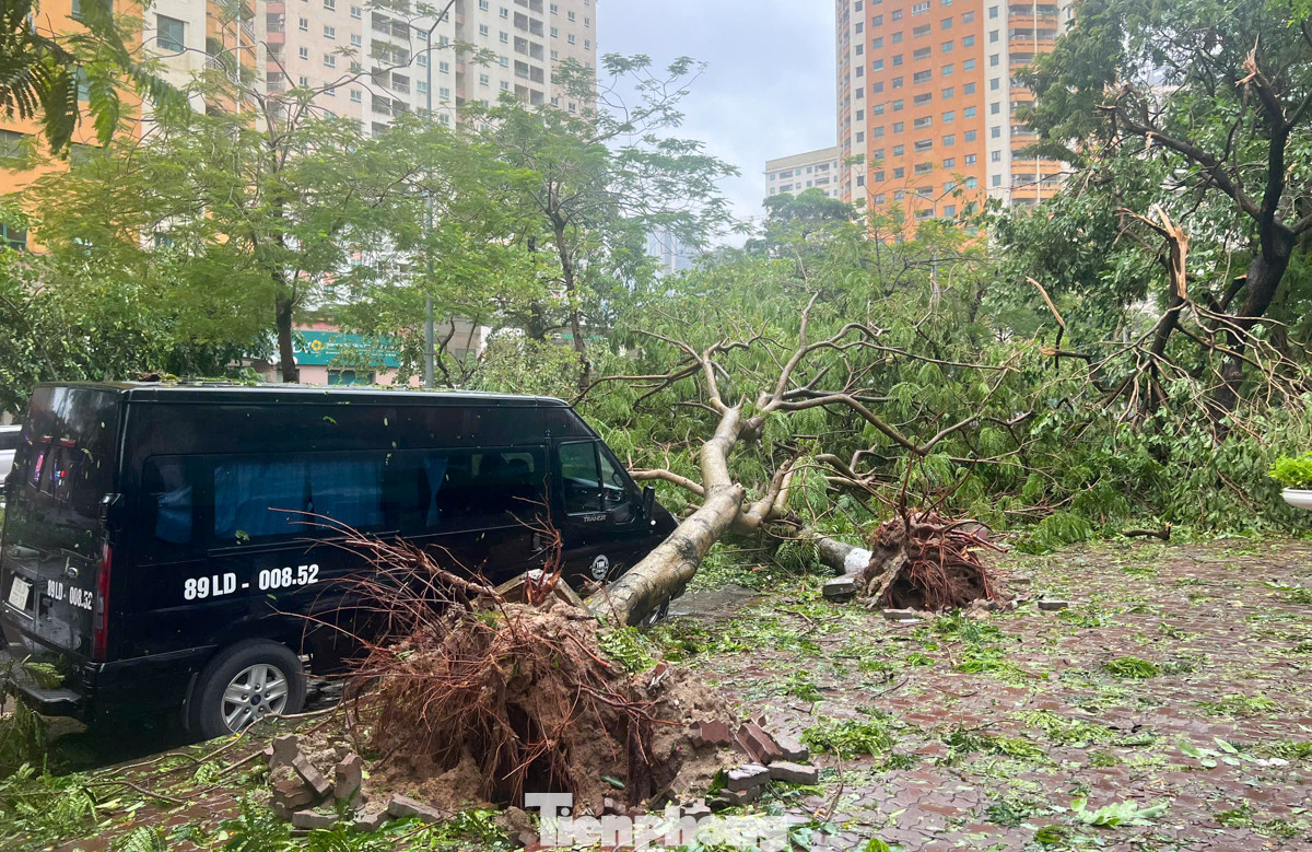 Cây đổ vào xe trên đường Hoàng Đạo Thúy, rất may không gây thiệt hại gì về người.