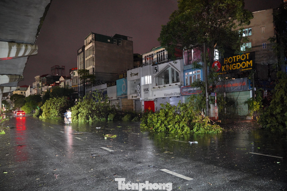 Hàng loạt cây xanh đổ rạp trước mặt tiền các cửa hàng trên đường Hồ Tùng Mậu.