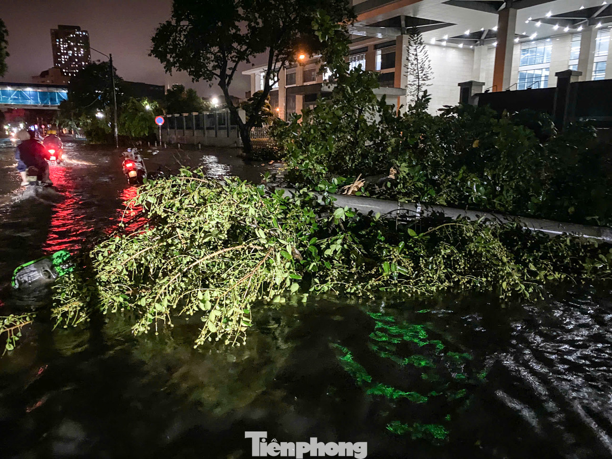 Nước ngập cùng với cây đổ ngổn ngang đã biến việc di chuyển trở thành một thử thách đầy gian nan đối với người dân.