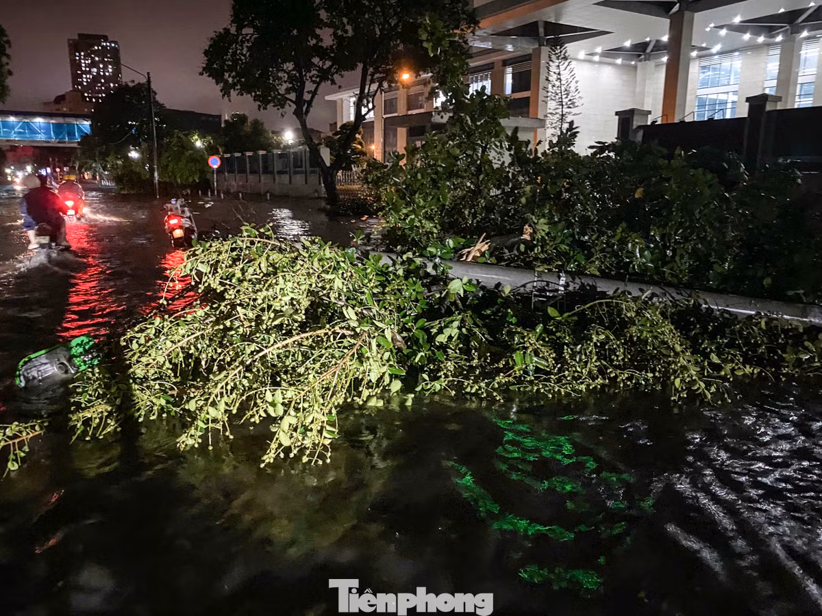 Nước ngập cùng với cây đổ ngổn ngang đã biến việc di chuyển trở thành một thử thách đầy gian nan đối với người dân.
