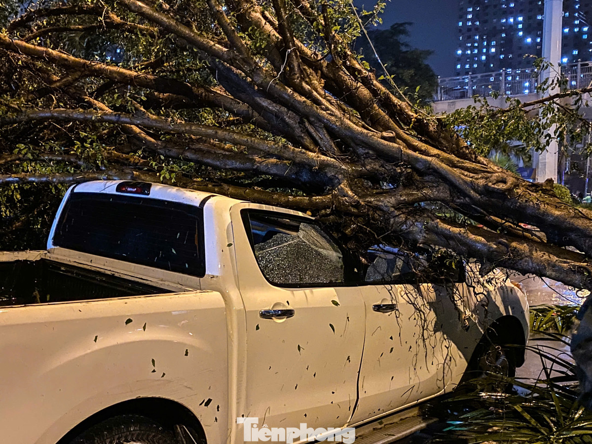 Một chiếc ôtô đang đậu trên phố Phúc La (quận Hà Đông) đã không may bị cây xanh đổ trúng trong cơn bão.