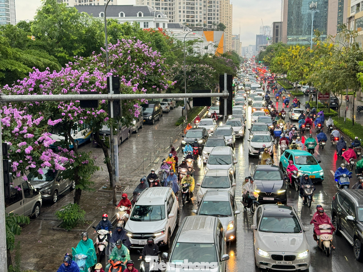 Cầu vượt chữ Y phố Hoàng Minh Giám ken đặc phương tiện.