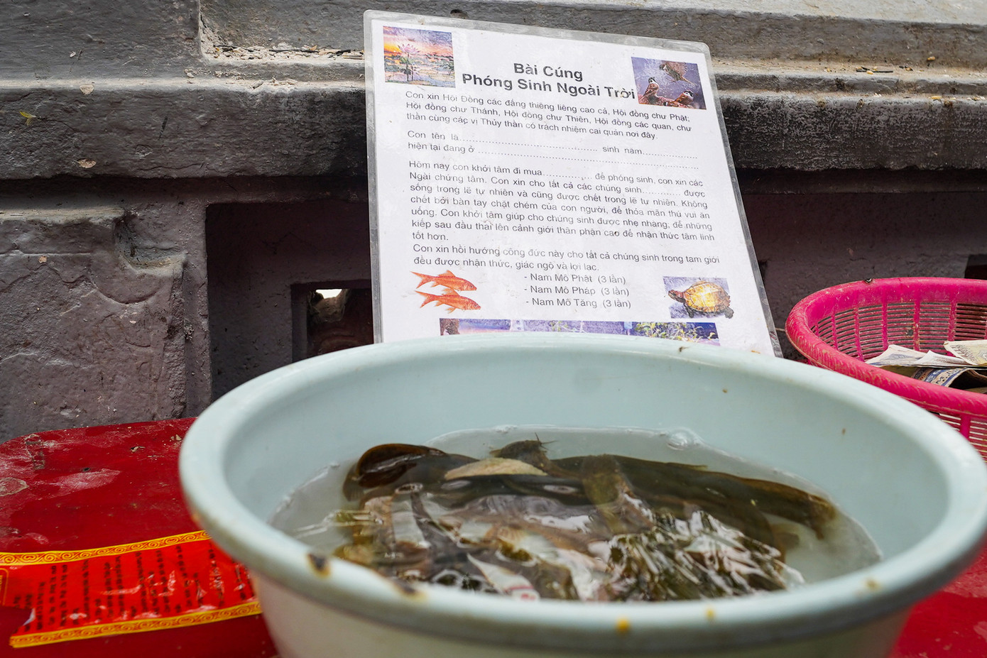 Khách hàng khi mua sẽ được hướng dẫn cách lễ, khấn trước khi thả, phóng sinh.