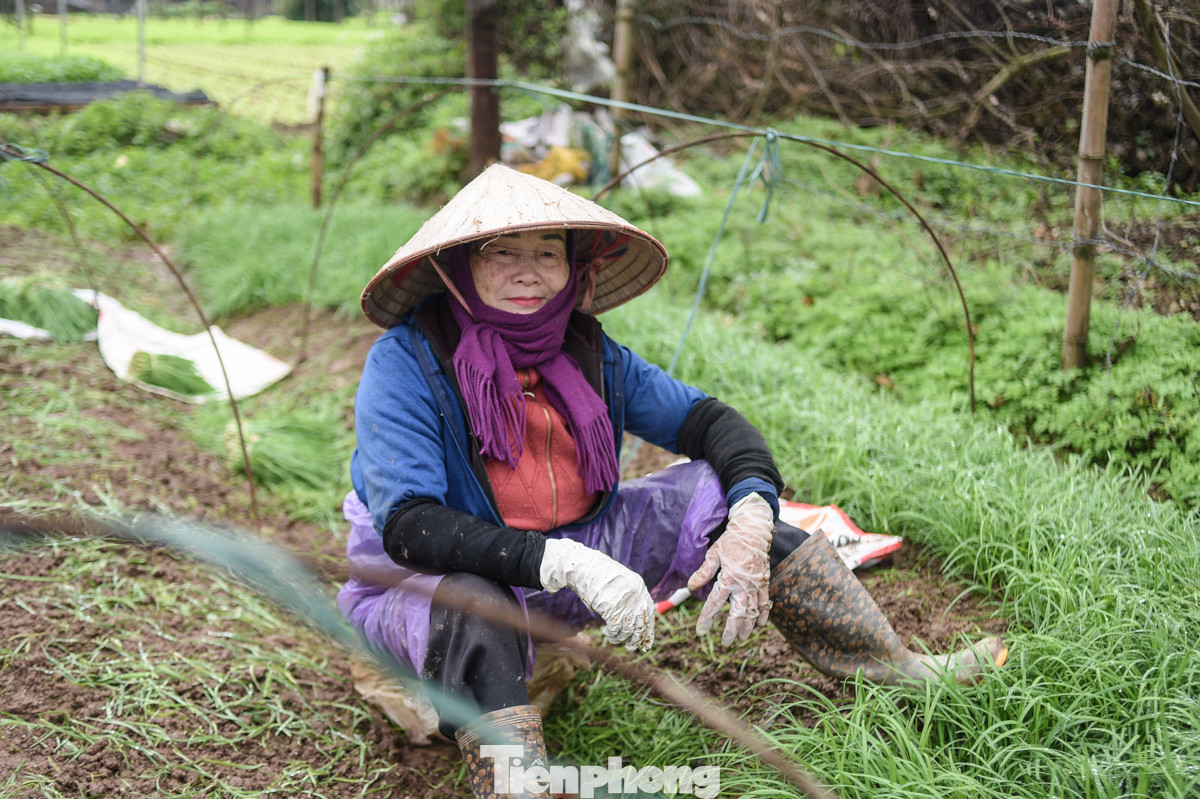 Với những người nông dân, dù mưa hay nắng thì công việc của họ vẫn diễn ra bình thường.