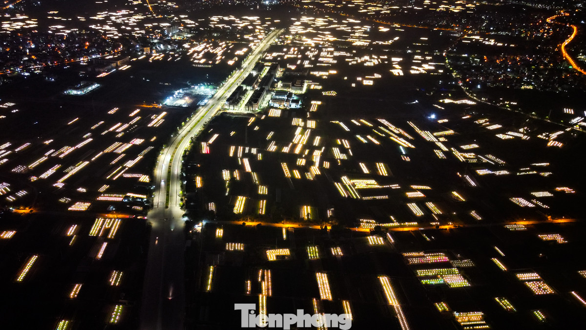 Hằng năm, cứ vào dịp tháng 10, tháng 11 Âm lịch, những người nông dân ở làng hoa Tây Tựu (quận Bắc Từ Liêm, Hà Nội) lại hối hả chăm sóc cây để chuẩn bị cho mùa thu hoạch hoa lớn nhất trong năm.