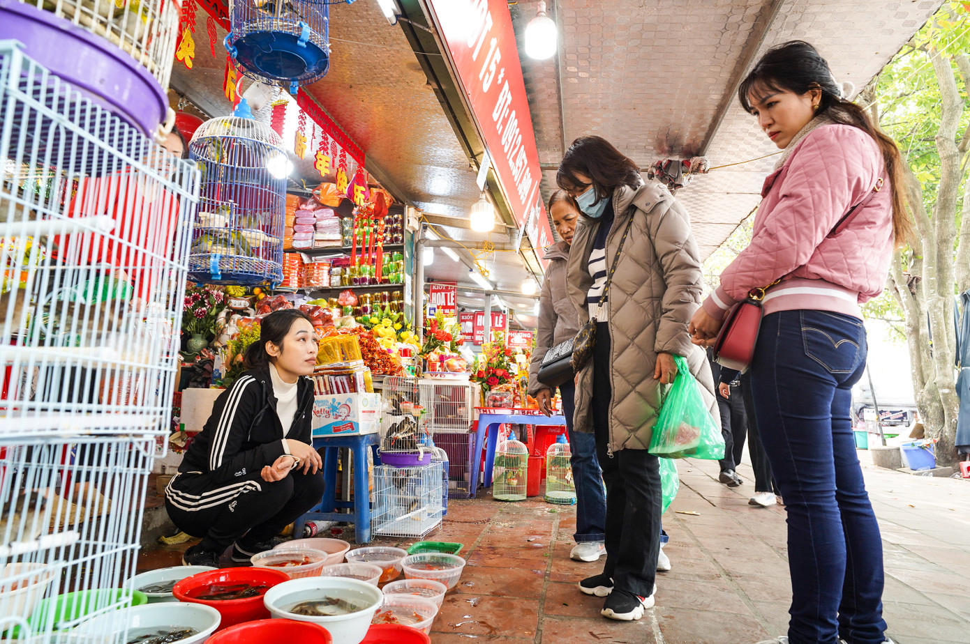 Cảnh mua bán tấp đồ phóng sinh cũng diễn ra trên đường vào Phủ Tây Hồ.