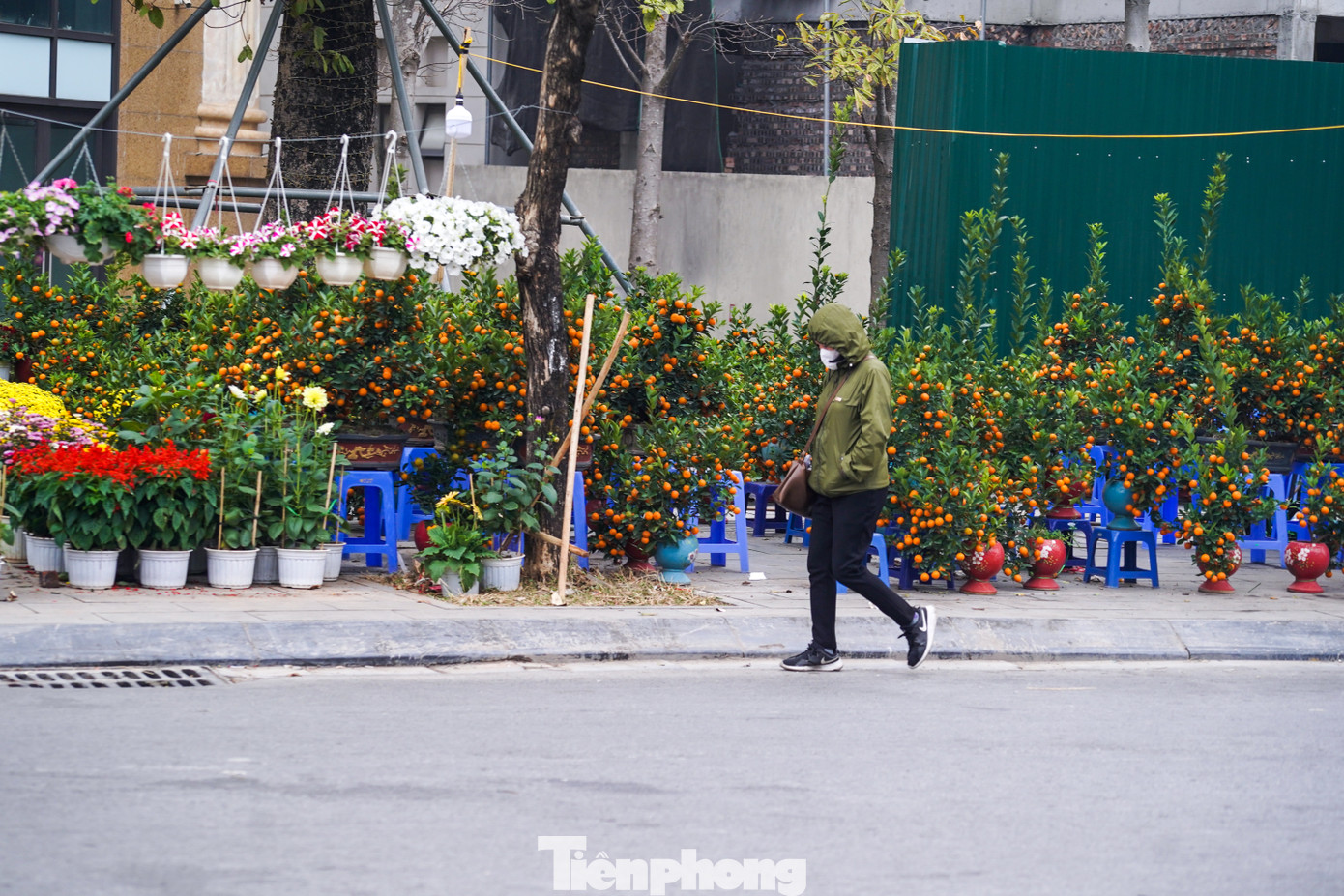 Tô điểm những ngày lạnh là hình ảnh quất và hoa bán trên vỉa hè dịp cuối năm. Tô điểm những ngày lạnh là hình ảnh quất và hoa bán trên vỉa hè dịp cuối năm.