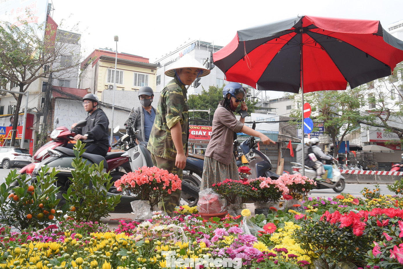 Các loại hoa như mai trắng, hoa hồng, cúc... cũng được người Hà Nội chọn mua.