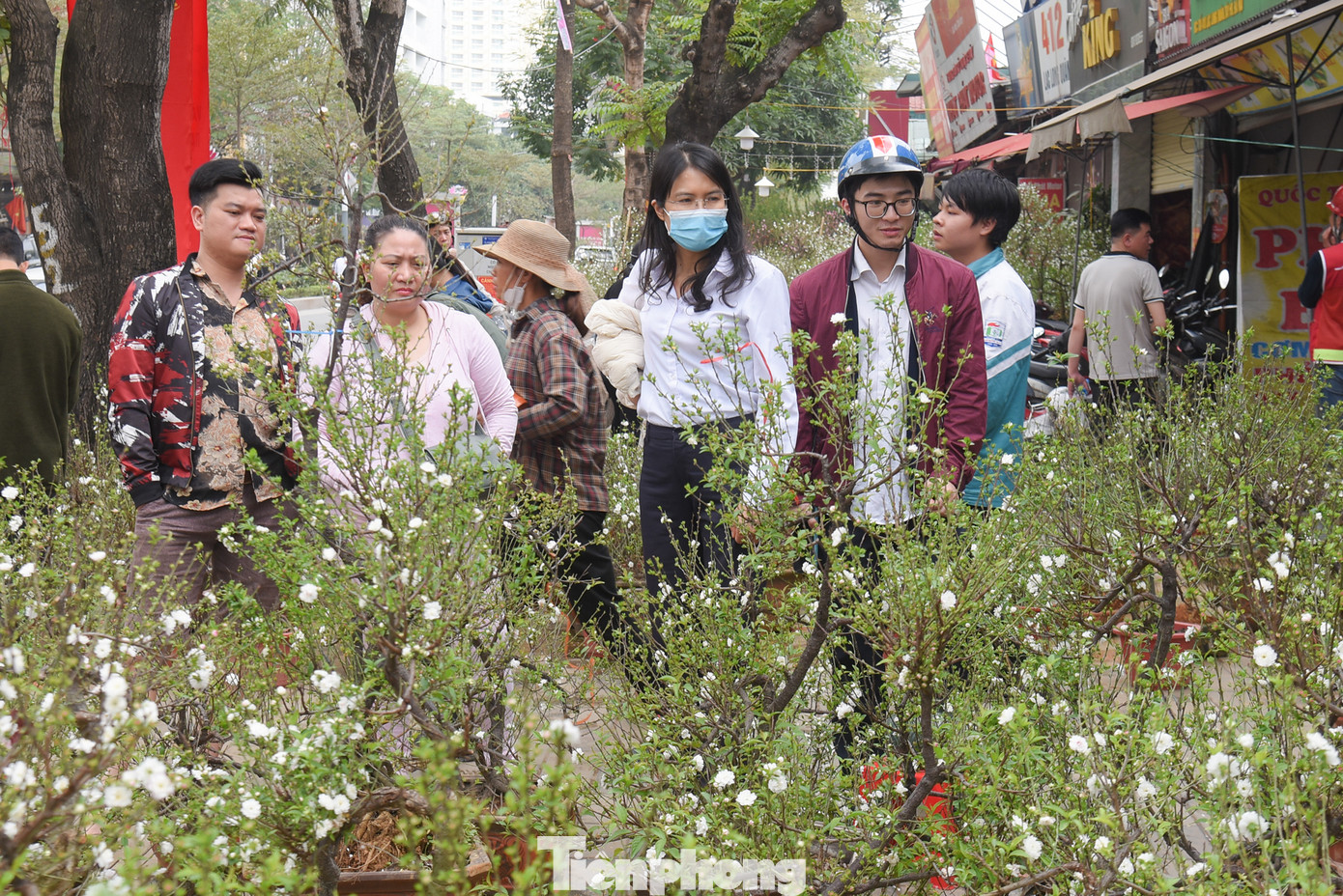 Các loại hoa như mai trắng, hoa hồng, cúc... cũng được người Hà Nội chọn mua.