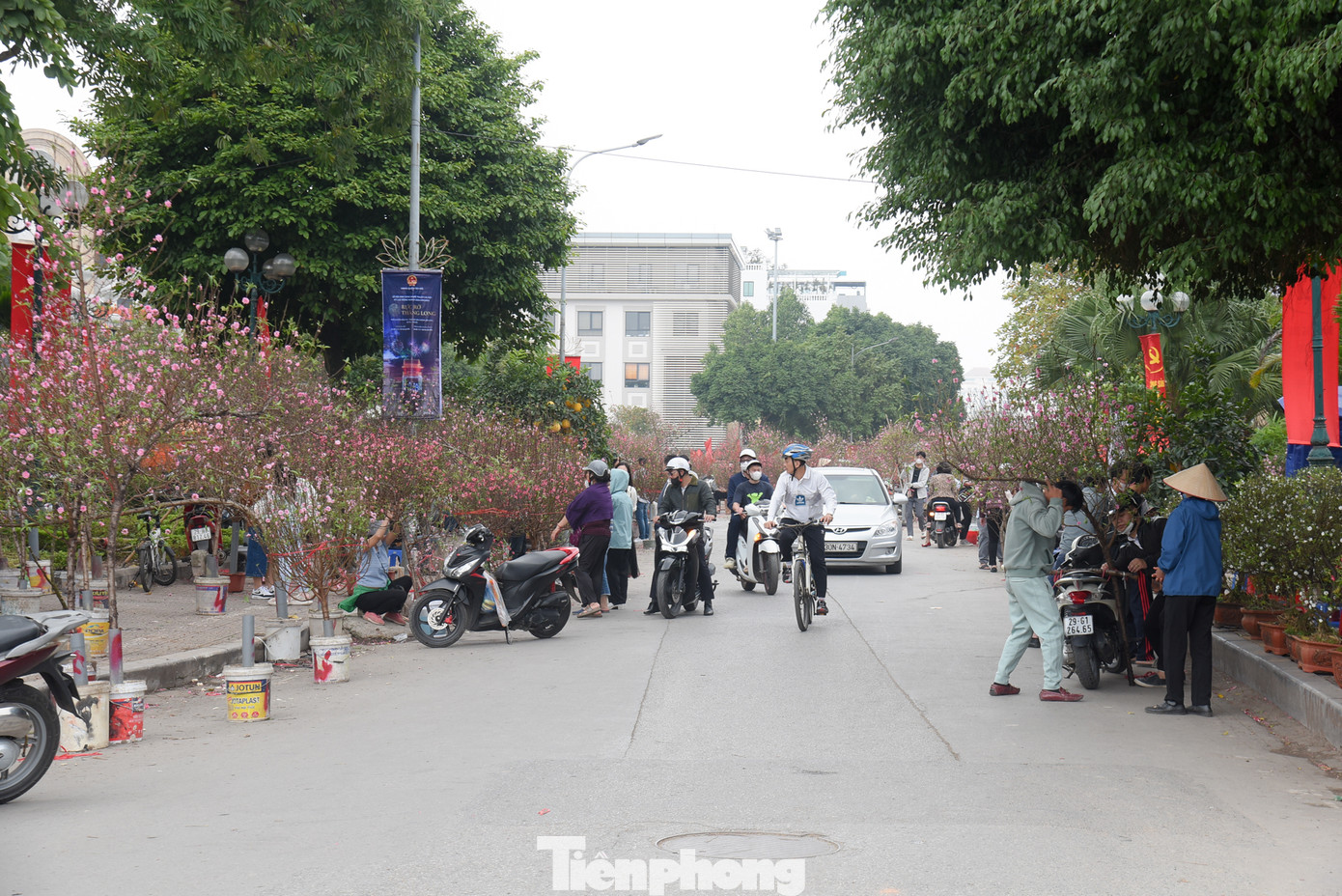 Cận Tết Nguyên đán Giáp thìn 2024, tại các tụ điểm bán hoa, cây cảnh như: đường Lạc Long Quân (quận Tây Hồ), chợ hoa Hoàng Hoa Thám (quận Tây Hồ), công viên Thống Nhất (quận Đống Đa)... rất đông người đến tham quan, mua sắm.