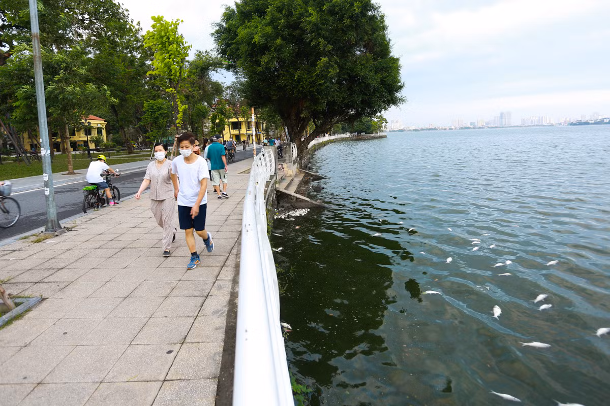 Người tập thể dục phải đeo khẩu trang vì mùi hôi của cá.