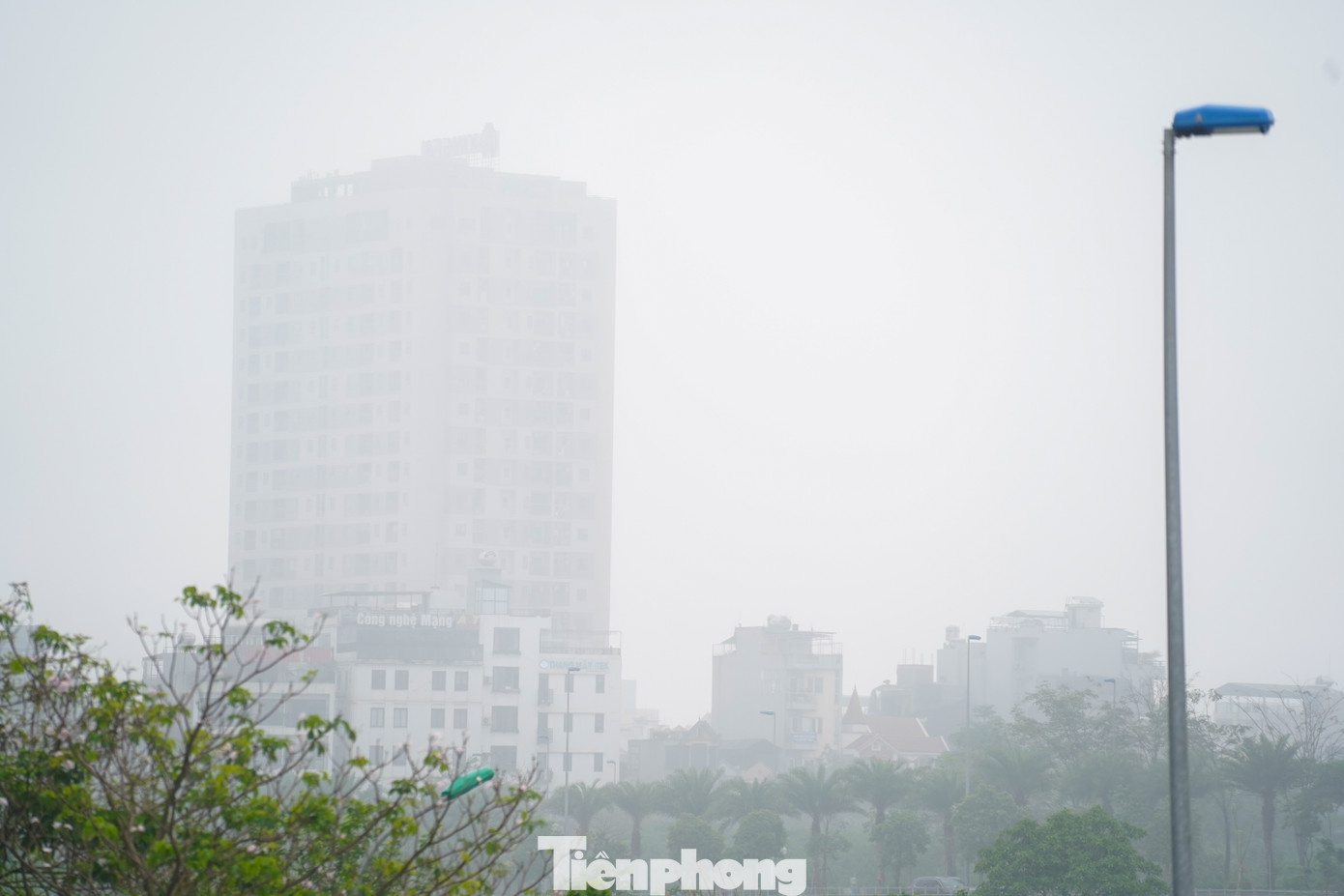 Nhiều toà nhà ẩn hiện trong màn sương mù trắng đục.