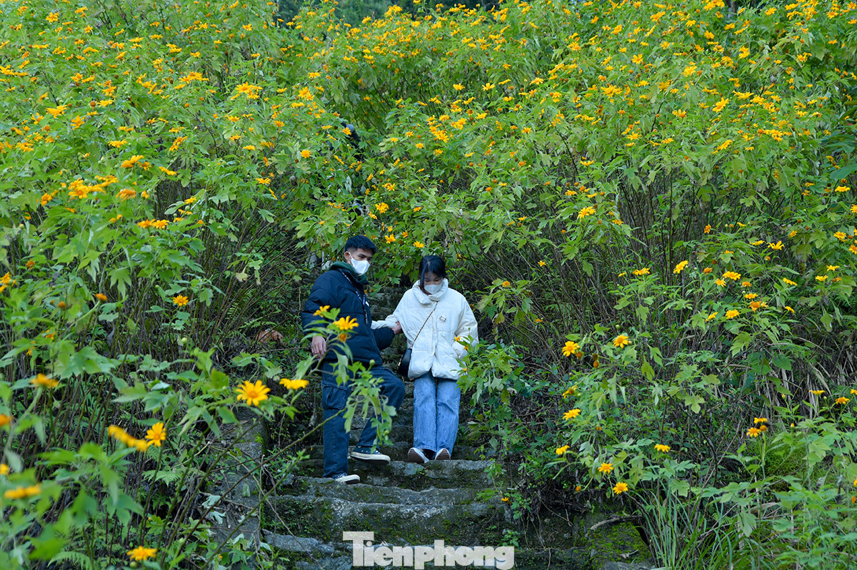 Một số bạn trẻ leo cầu thang lên cao để có những bức ảnh độc đáo, lạ mắt.