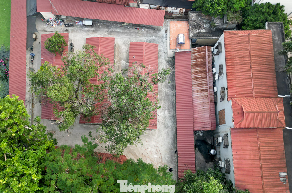 Toàn cảnh khu chợ Sơn Đồng bị bỏ trống hàng năm trời.