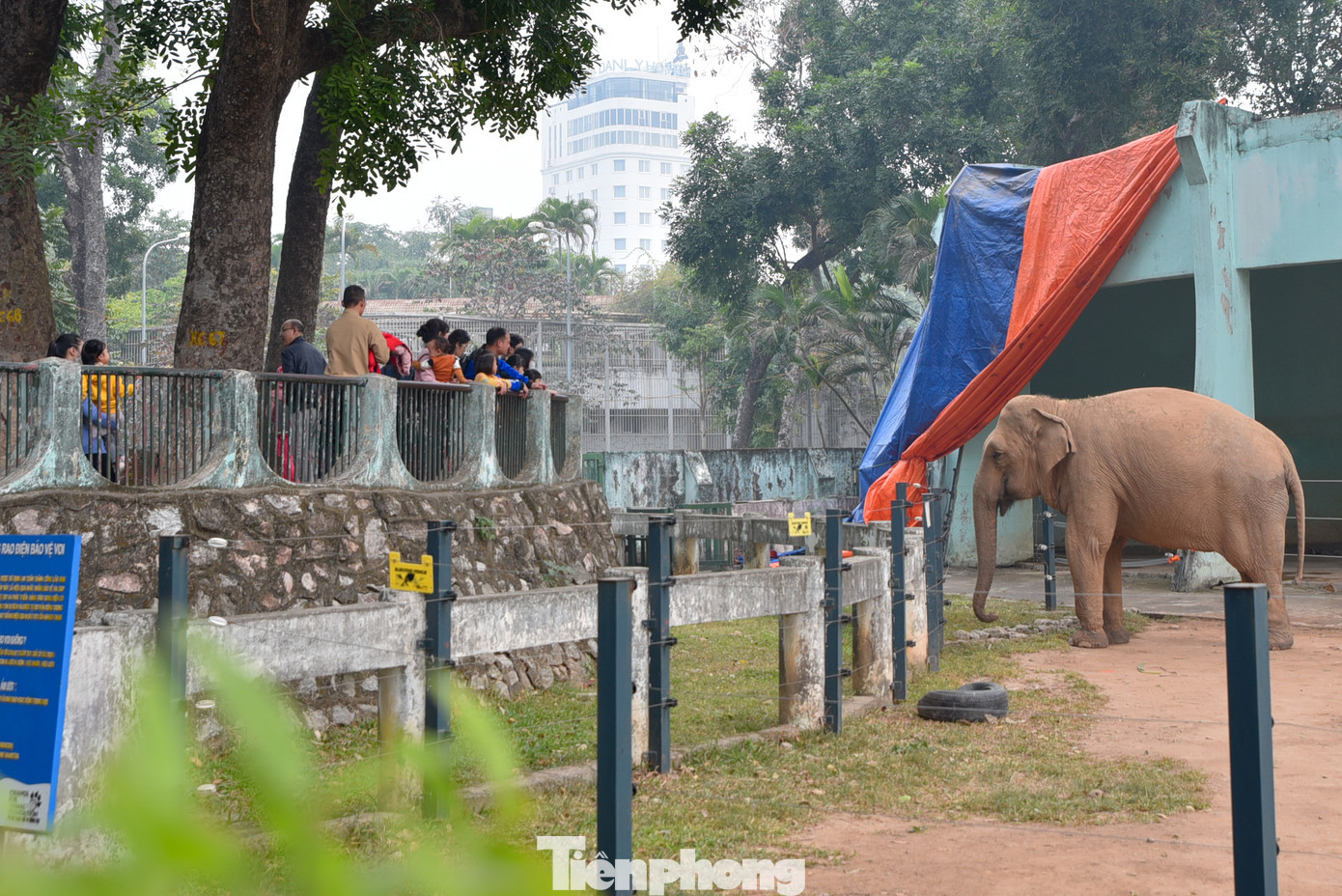 Khi tới Vườn bách thú Hà Nội, nơi mà bất kỳ ai cũng không thể bỏ qua là chỗ nuôi 2 con voi. Sau những ngày giá rét phải ở một chỗ, nay 2 chú voi được tháo xiềng và tự do đi lại trong vườn. Khi tới Vườn bách thú Hà Nội, nơi mà bất kỳ ai cũng không thể bỏ qua là chỗ nuôi 2 con voi. Sau những ngày giá rét phải ở một chỗ, nay 2 chú voi được tháo xiềng và tự do đi lại trong vườn.