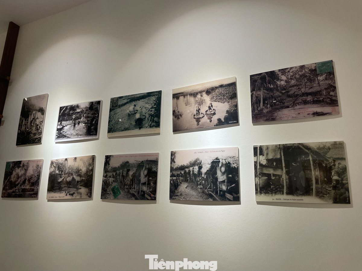 Sản phẩm đã được tạo hình và chuẩn bị ép nước.