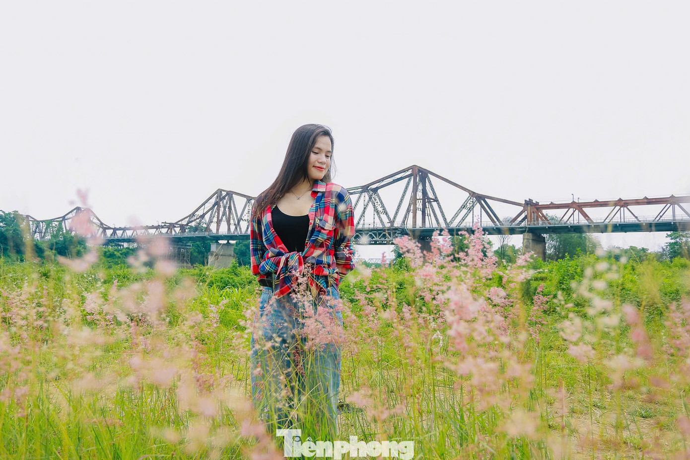 Chị Phạm Thu Hằng (Hà Nội) chia sẻ rằng mình biết đến bãi cỏ hồng qua mạng xã hội. "Hôm nay, nhân dịp cuối tuần, mình tranh thủ đến đây chụp ảnh. Dù cỏ hồng không nhiều như mong đợi nhưng khung cảnh rất thơ mộng, hơn nữa vé vào lại miễn phí".