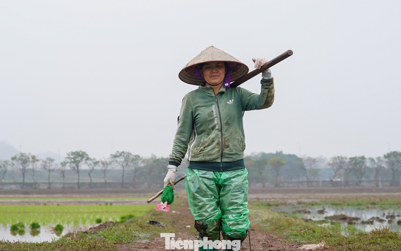 Đến khoảng 11 giờ, nhiều nông dân trở về nhà để chuẩn bị cơm trưa, nghỉ ngơi, rồi buổi chiều lại quay lại làm việc.