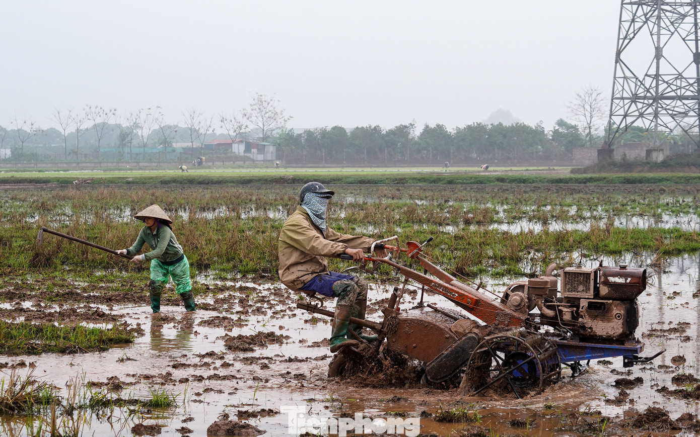 Những chiếc máy cày được nông dân sử dụng để làm phẳng ruộng, chuẩn bị cho việc cấy lúa.