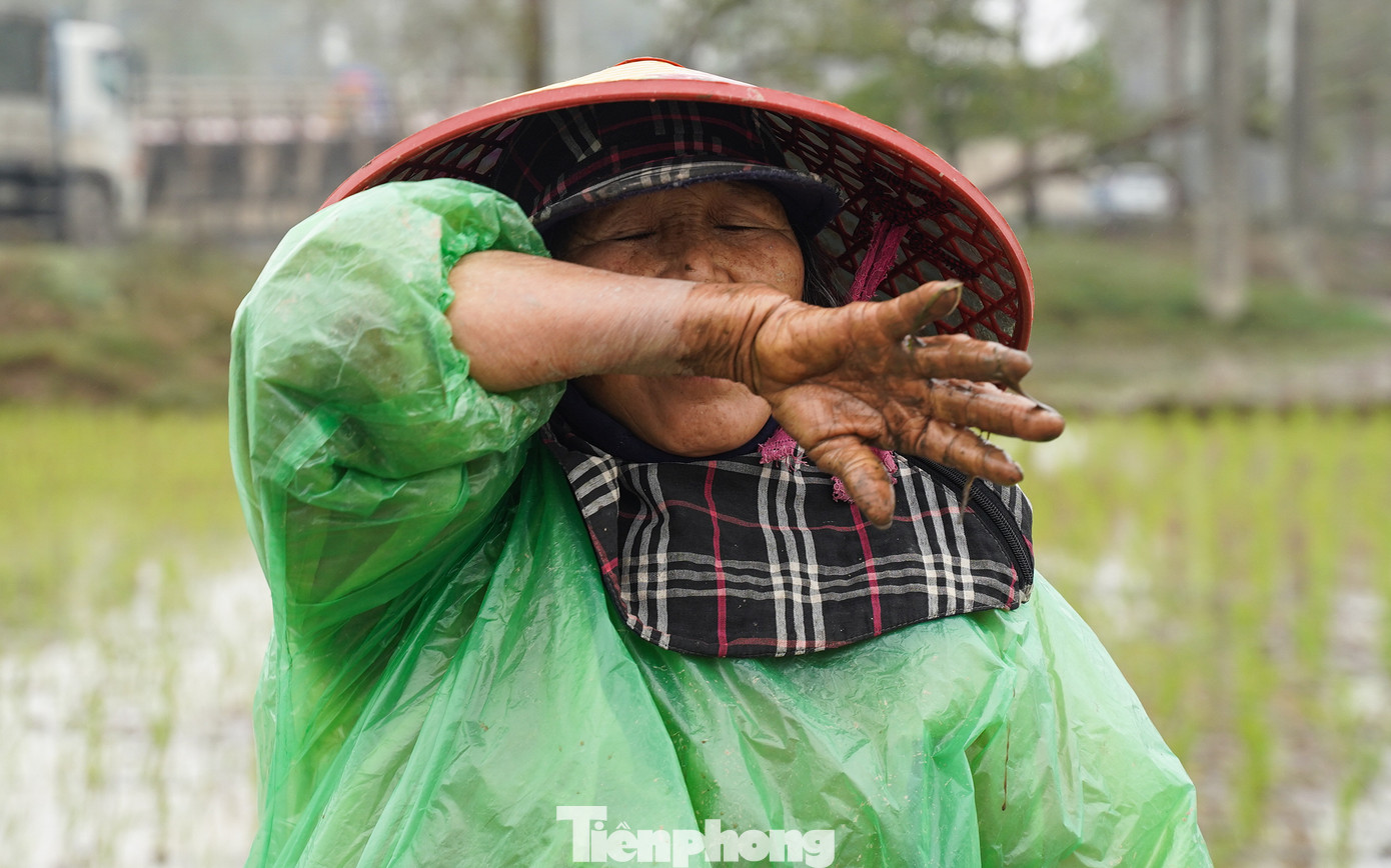 Sau nhiều tiếng làm việc liên tục, nông dân cũng thấm mệt và lau giọt mồ hôi dù thời tiết lạnh.
