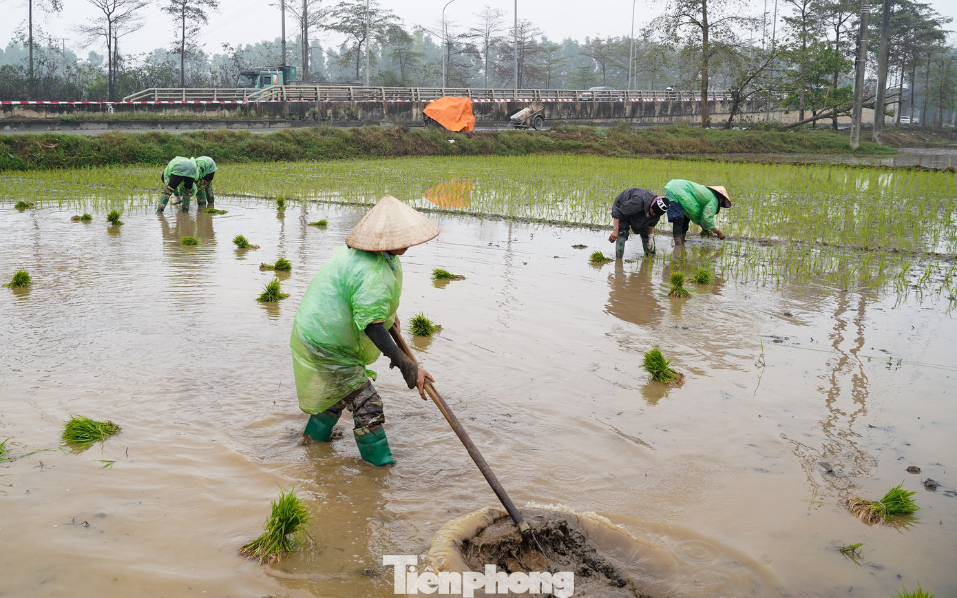 Để giữ ấm cơ thể, bà con nông dân khi xuống ruộng cấy mặc thêm cả áo mưa.