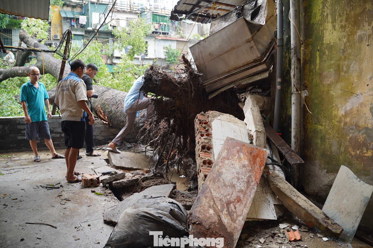 Bà Phạm Thị Lan (cư dân khu tập thể) cho biết, cây này đã có từ khi bà về đây ở cũng phải hơn 40 năm. "Khoảng 13h40, mưa ngớt cũng được một lúc thì cây đổ ầm xuống, may sao lúc đó người dân không ai ra sân", bà Lan nói thêm. Bà Phạm Thị Lan (cư dân khu tập thể) cho biết, cây này đã có từ khi bà về đây ở cũng phải hơn 40 năm. "Khoảng 13h40, mưa ngớt cũng được một lúc thì cây đổ ầm xuống, may sao lúc đó người dân không ai ra sân", bà Lan nói thêm.