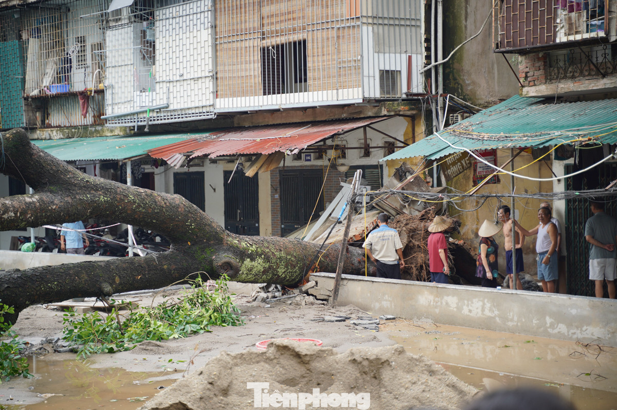 Không chỉ trên đường Nguyễn Trãi, cơn mưa giông còn gây thiệt hại ở những khu vực lân cận. Tại Khu tập thể Cơ Khí (quận Thanh Xuân), một cây cổ thụ lâu năm cũng không trụ vững trước sức gió, đổ xuống gây nguy hiểm cho người dân sinh sống xung quanh. Không chỉ trên đường Nguyễn Trãi, cơn mưa giông còn gây thiệt hại ở những khu vực lân cận. Tại Khu tập thể Cơ Khí (quận Thanh Xuân), một cây cổ thụ lâu năm cũng không trụ vững trước sức gió, đổ xuống gây nguy hiểm cho người dân sinh sống xung quanh.