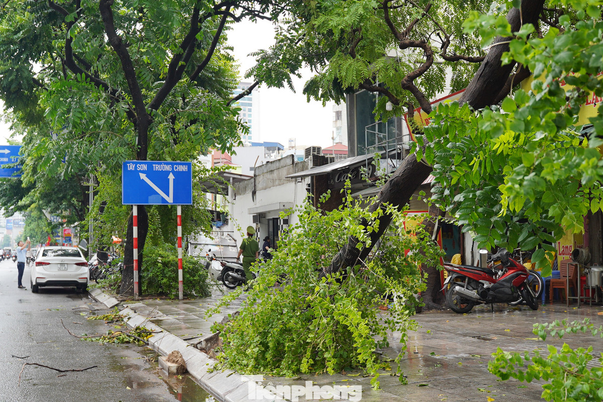 Cây bị bật gốc nghiêng hẳn sang một bên. Ông Phạm Tuấn Tùng (cửa hàng bia đối diện cây bị bật gốc) cho biết: "Cây bị đổ lúc 12h30 trưa nay, may mắn lúc ấy ít người qua lại nên không xảy ra tình trạng thiệt hại gì, chỉ bị ngã trúng vài chiếc xe máy để trên vỉa hè". Cây bị bật gốc nghiêng hẳn sang một bên. Ông Phạm Tuấn Tùng (cửa hàng bia đối diện cây bị bật gốc) cho biết: "Cây bị đổ lúc 12h30 trưa nay, may mắn lúc ấy ít người qua lại nên không xảy ra tình trạng thiệt hại gì, chỉ bị ngã trúng vài chiếc xe máy để trên vỉa hè".