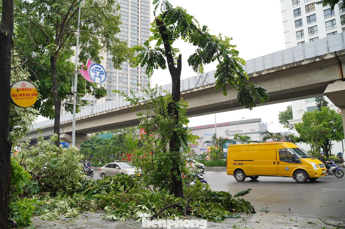 Cây xanh bị gãy làm đôi trên đường Nguyễn Trãi. Cây xanh bị gãy làm đôi trên đường Nguyễn Trãi.