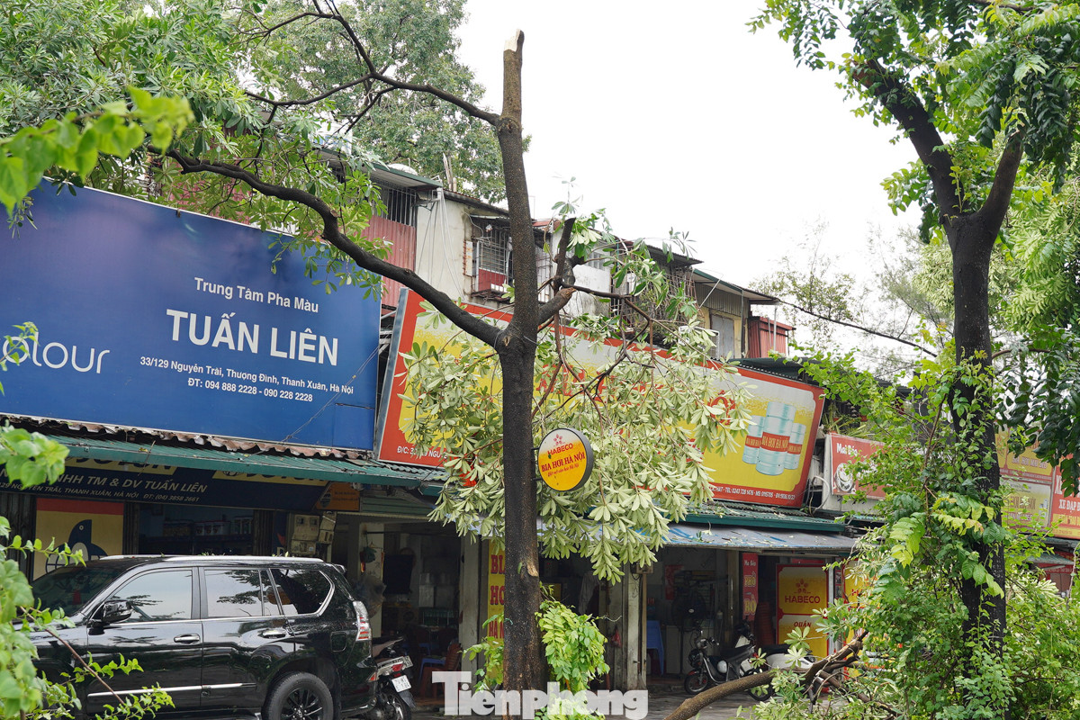 Rất nhiều cây xanh trên đường Nguyễn Trãi đã gãy đổ sau cơn mưa trưa nay. Rất nhiều cây xanh trên đường Nguyễn Trãi đã gãy đổ sau cơn mưa trưa nay.