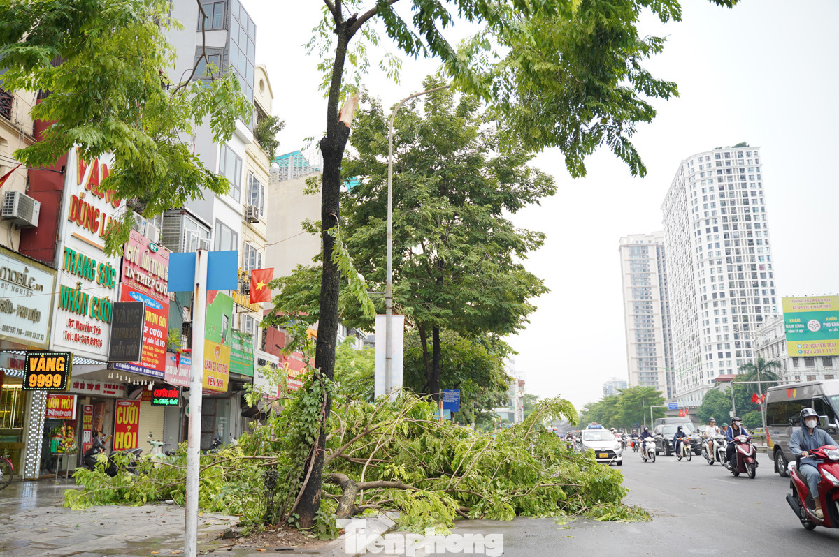 Rất nhiều cây xanh trên đường Nguyễn Trãi đã gãy đổ sau cơn mưa trưa nay. Rất nhiều cây xanh trên đường Nguyễn Trãi đã gãy đổ sau cơn mưa trưa nay.