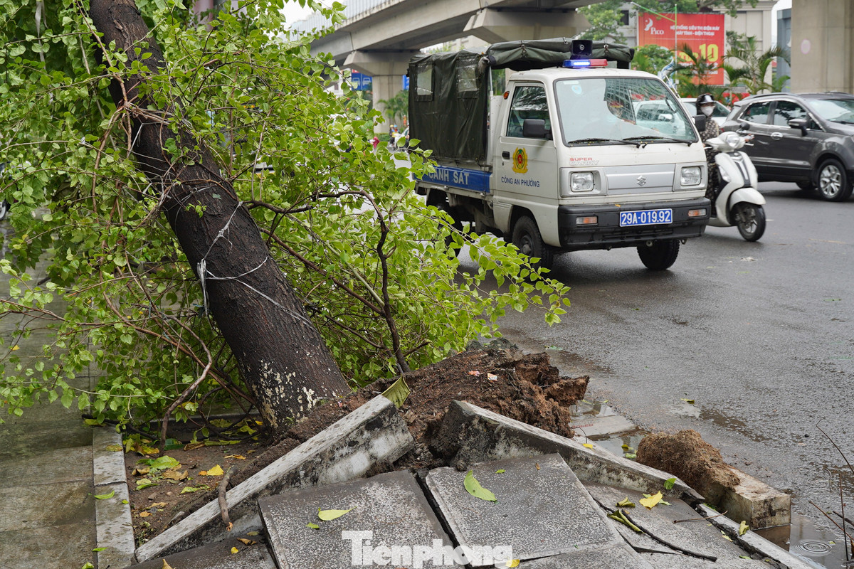 Một cây lớn đã bị bật gốc trên vỉa hè đường Nguyễn Trãi. Lực lượng chức năng đã nhanh chóng có có mặt để xử lý sự cố. Một cây lớn đã bị bật gốc trên vỉa hè đường Nguyễn Trãi. Lực lượng chức năng đã nhanh chóng có có mặt để xử lý sự cố.