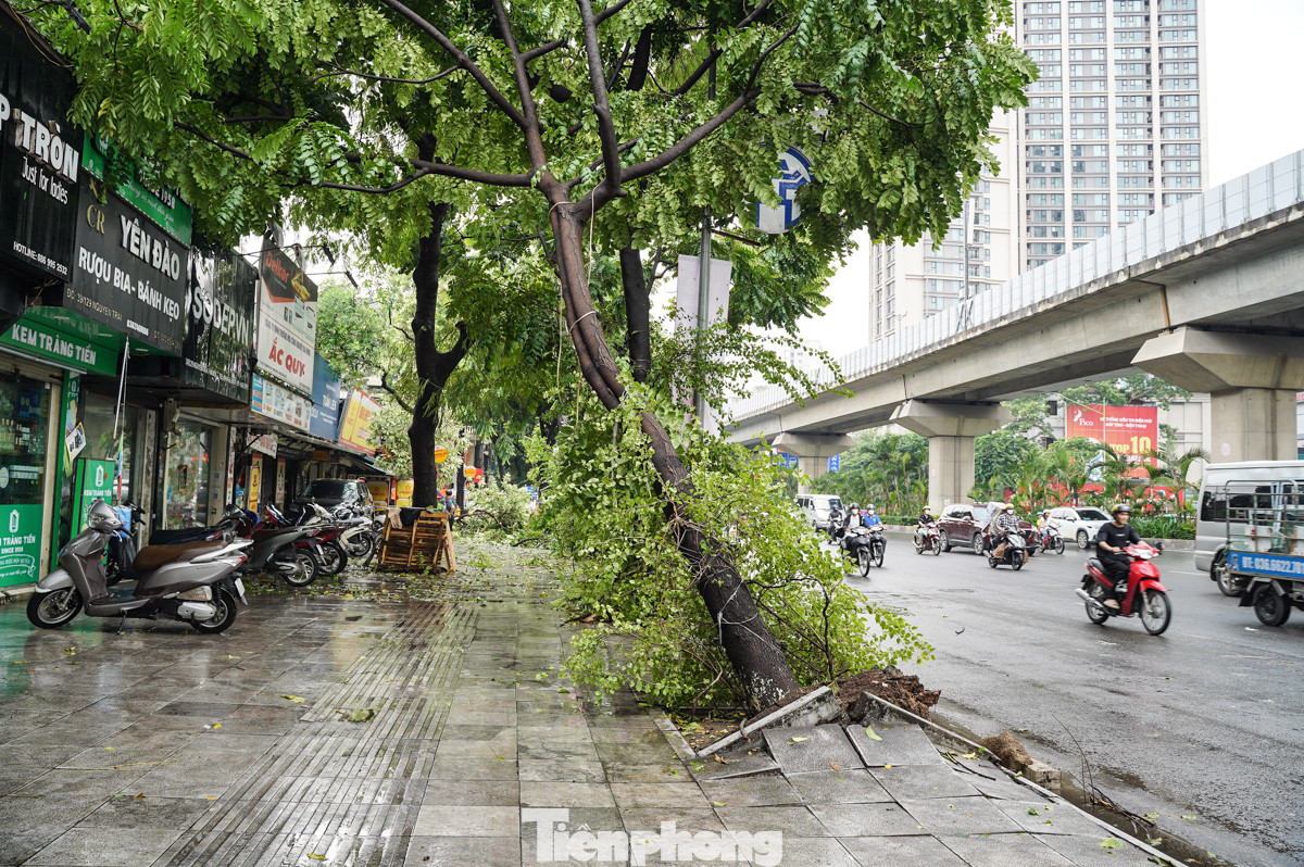 Khoảng 12 giờ trưa nay (29/8), Hà Nội bắt đầu mưa giông, gió giật mạnh. Tại đường Nguyễn Trãi (quận Thanh Xuân) ghi nhận có 5 cây xanh bị đổ ngã, bật gốc gây nguy hiểm cho người dân. Khoảng 12 giờ trưa nay (29/8), Hà Nội bắt đầu mưa giông, gió giật mạnh. Tại đường Nguyễn Trãi (quận Thanh Xuân) ghi nhận có 5 cây xanh bị đổ ngã, bật gốc gây nguy hiểm cho người dân.