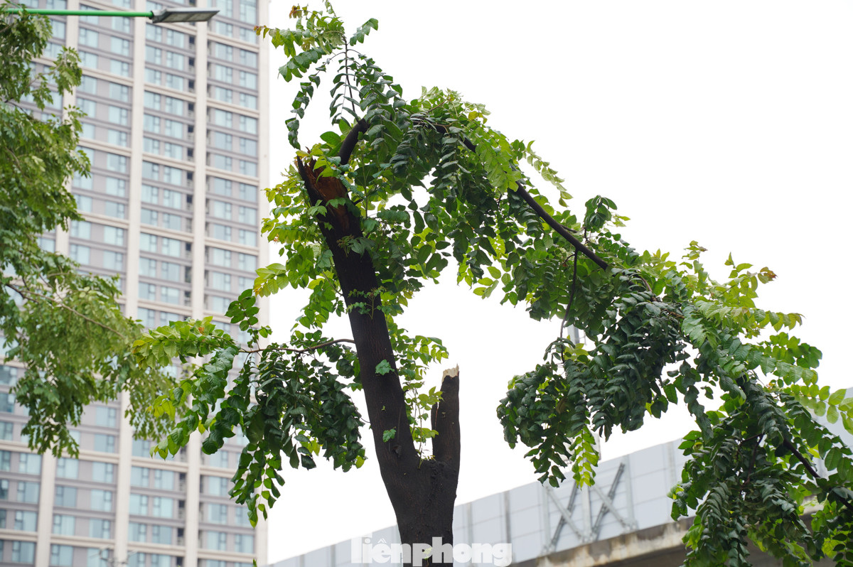 Rất nhiều cây xanh trên đường Nguyễn Trãi đã gãy đổ sau cơn mưa trưa nay. Rất nhiều cây xanh trên đường Nguyễn Trãi đã gãy đổ sau cơn mưa trưa nay.