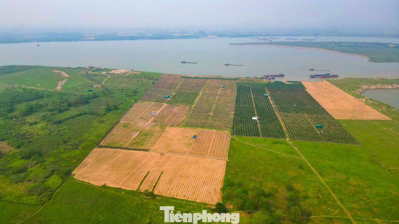 Hàng chục năm nay, để di chuyển qua sông, người dân 2 huyện Đan Phượng và huyện Mê Linh phải sang phà hoặc chọn di chuyển đến cầu Thăng Long cách đó hơn 10km.