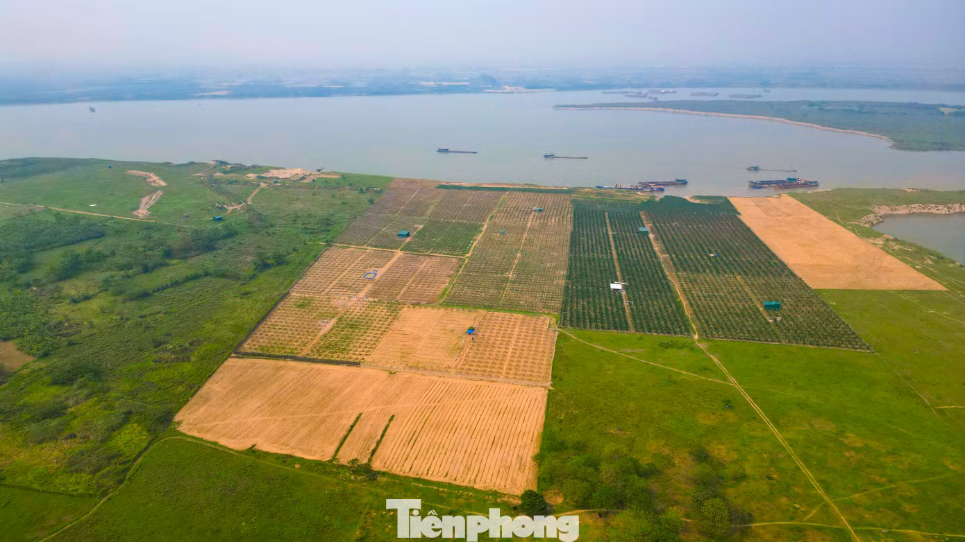 Hàng chục năm nay, để di chuyển qua sông, người dân 2 huyện Đan Phượng và huyện Mê Linh phải sang phà hoặc chọn di chuyển đến cầu Thăng Long cách đó hơn 10km.