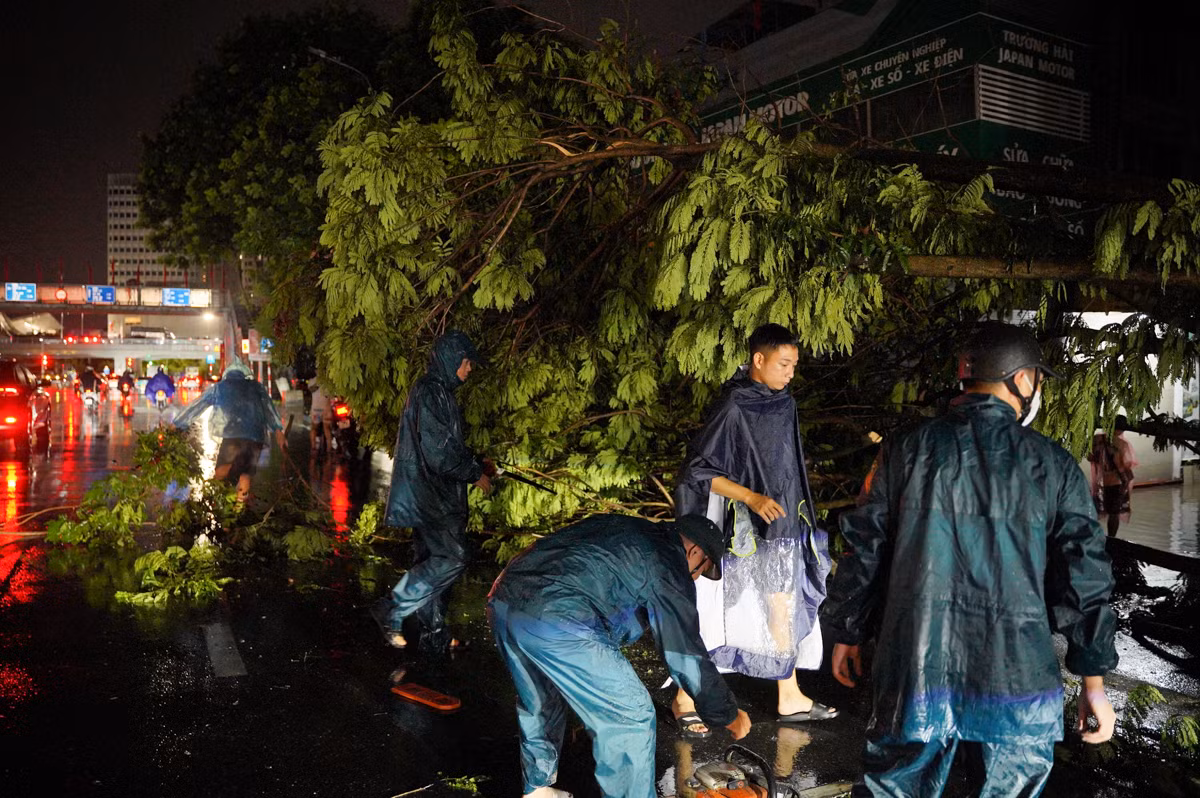 Trước đó, PV Tiền Phong có đưa tin rạng sáng 23/8, sau cơn mưa lớn từ đêm, một số cây xanh trên đường Hồ Tùng Mậu, Cầu Giấy cũng bật gốc, đổ ra đường... ảnh hưởng đến việc đi lại của người dân.