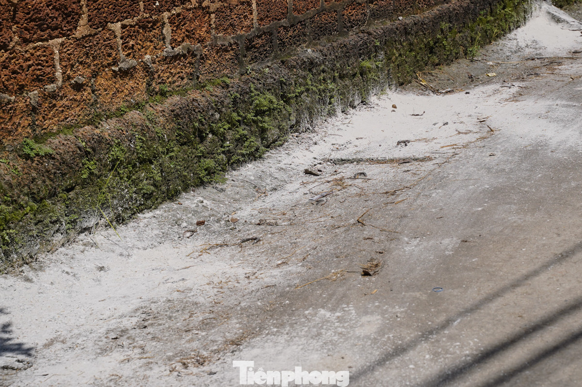 Chính quyền địa phương đã nhanh chóng rải vôi bột trắng xóa trên khắp các con đường trong thôn Nam Hài, nhằm khử trùng, tiêu độc và cải thiện môi trường sau lũ.