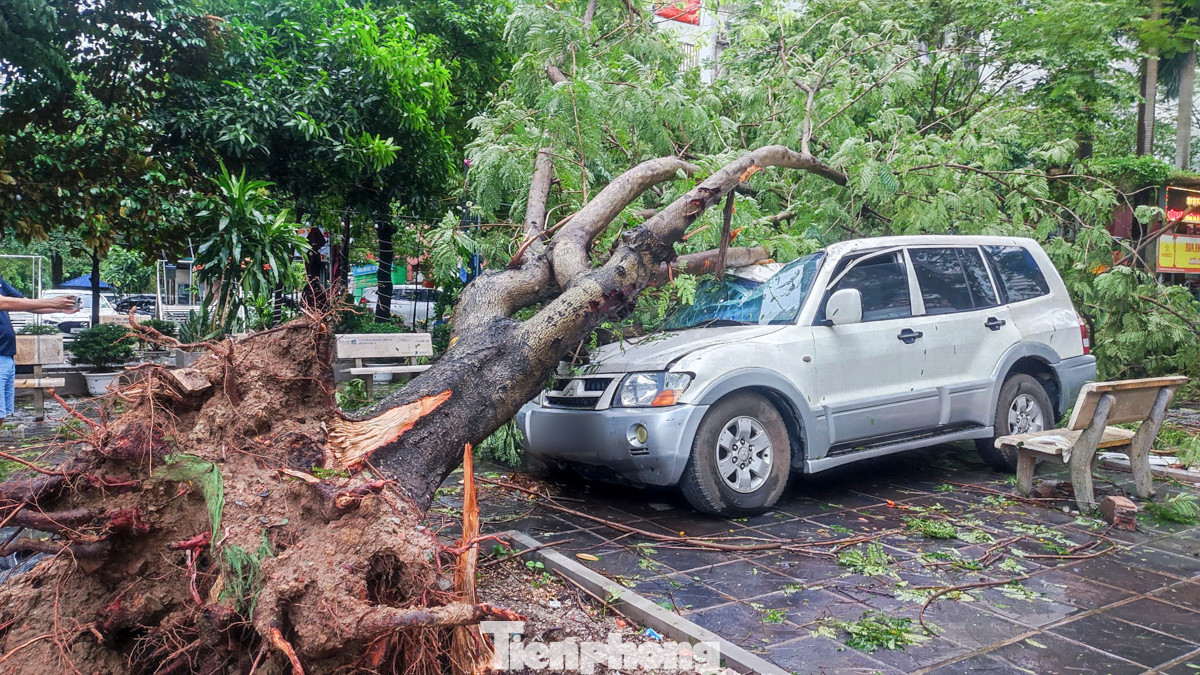 Theo ghi nhận của PV Tiền Phong, sáng ngày 8/9, trên khắp các tuyến đường Hà Nội, đâu đâu cũng thấy hình ảnh những chiếc xe ô tô bị cây xanh đổ đè lên.