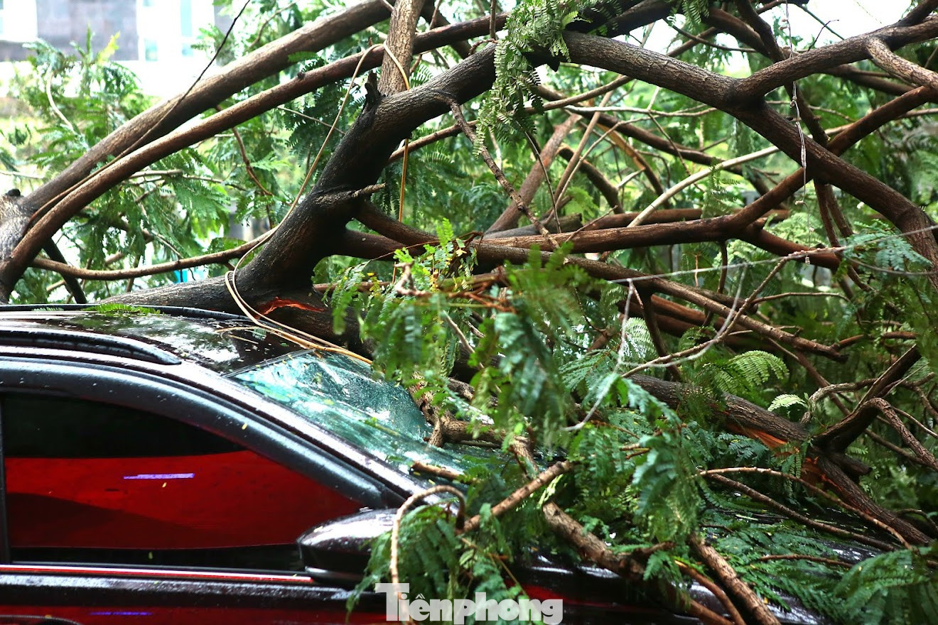 Cách đó không xa, một chiếc xe khác cũng chung cảnh tương tự.