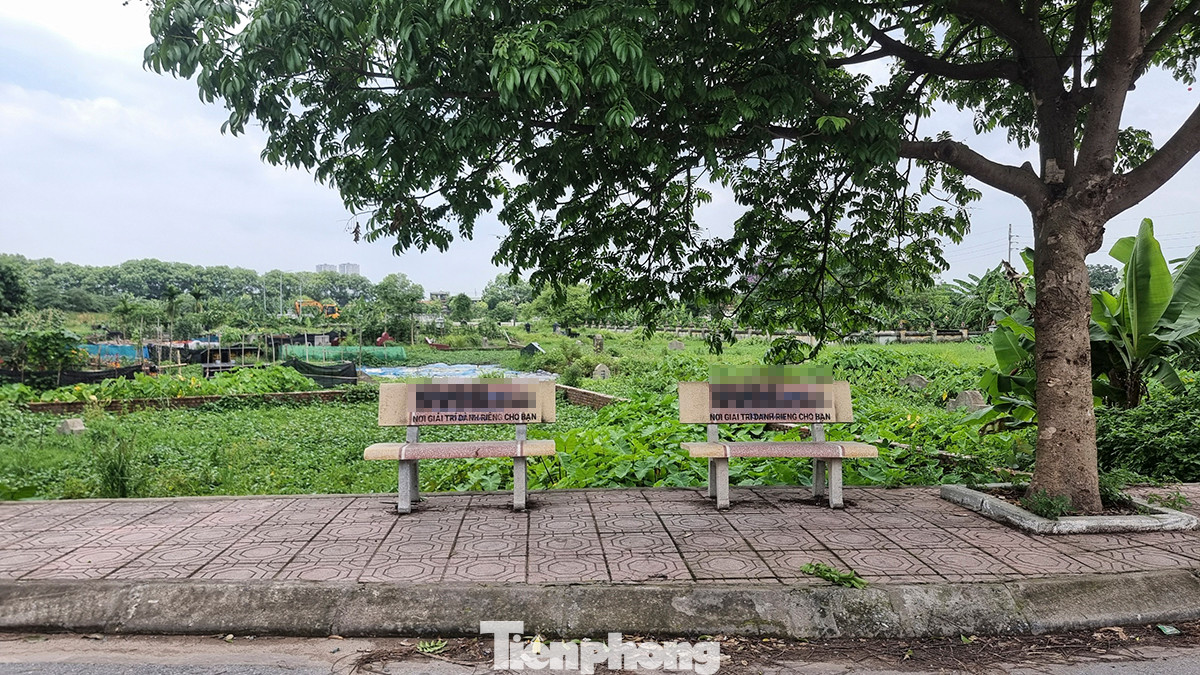 Không chỉ ở nội thành, tình trạng trên còn diễn ra ở ngoại thành Hà Nội. Nhiều ghế đá gần nhà văn hoá thôn Yên Bệ (xã Kim Chung, huyện Hoài Đức) cũng bị sơn kín trong đêm.