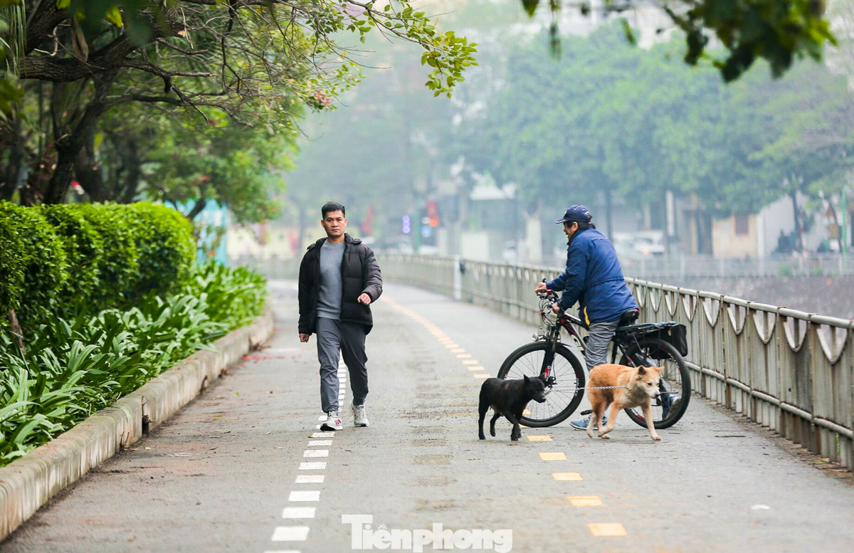 Trong đó, có thể kể đến tuyến đường dành riêng cho xe đạp và người đi bộ (đoạn từ Ngã Tư Sở đến Cầu Giấy) ven sông Tô Lịch được khai trương ngày 1/2/2024.